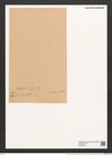 Grammatophora oceanica var. nodulosa Grun. (de-Toni-Nr.: Genus 93, Species 3036) Zeichnungen Sammlung Grunow (NHMW-BOT-W0374725)